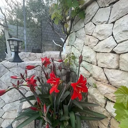 Villa Beachfront With Pool - Myway *