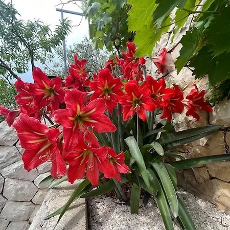 Beachfront With Pool - Myway Villa Trogir