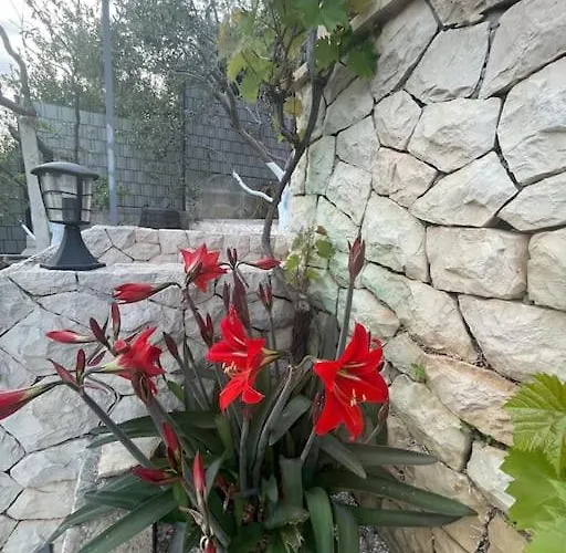 Villa Beachfront With Pool - Myway *