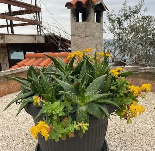 Beachfront With Pool - Myway Villa *