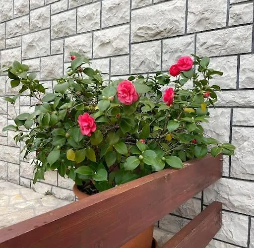 빌라 Beachfront With Pool - Myway *