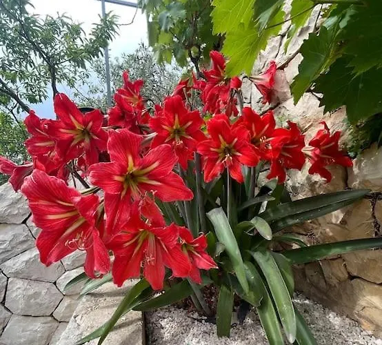 Beachfront With Pool - Myway 빌라 트로기르