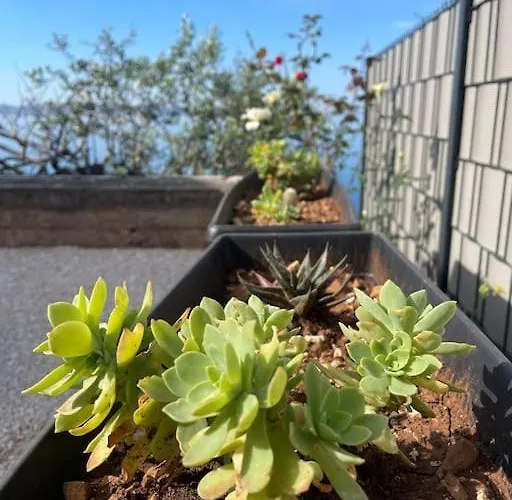 Beachfront With Pool - Myway 트로기르