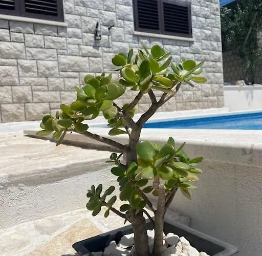 Villa Beachfront With Pool - Myway