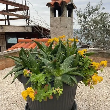 Beachfront With Pool - Myway Villa *