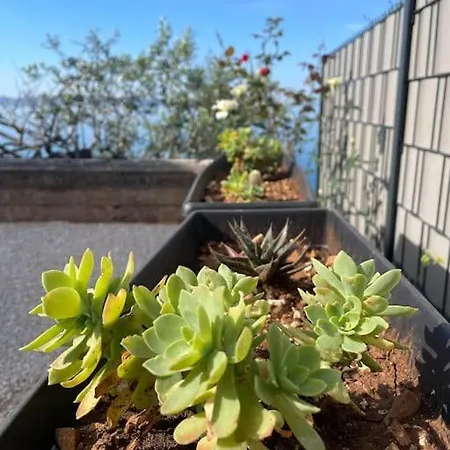 Beachfront With Pool - Myway Trogir