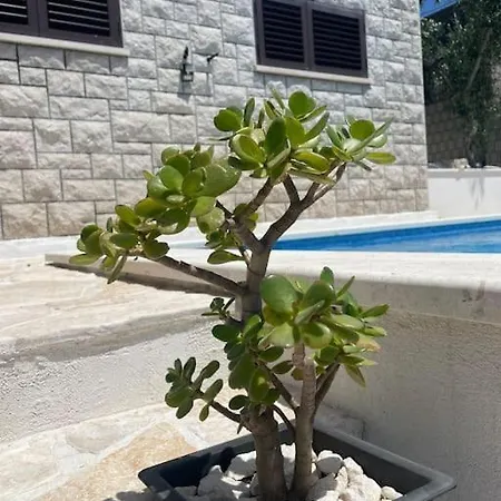 Villa Beachfront With Pool - Myway