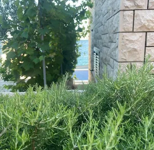 Beachfront With Pool - Myway